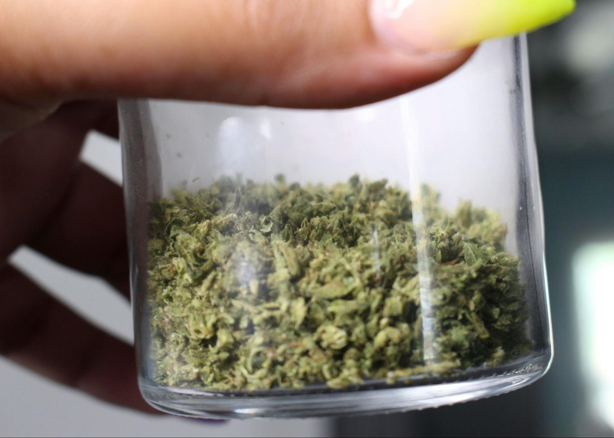 What is Shake Weed And What Are Its Benefits