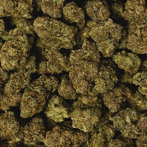 Juicy Berry Strain Review