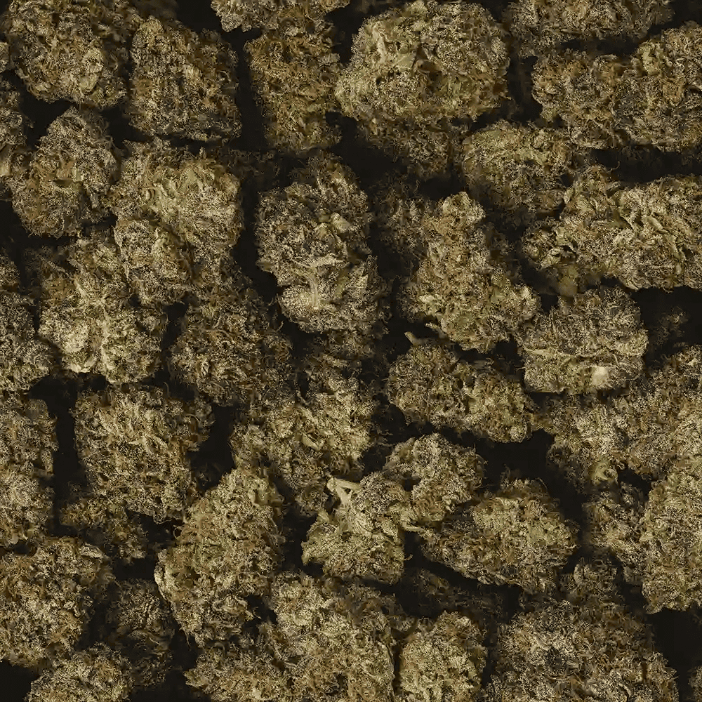 Hella Jelly Strain Review