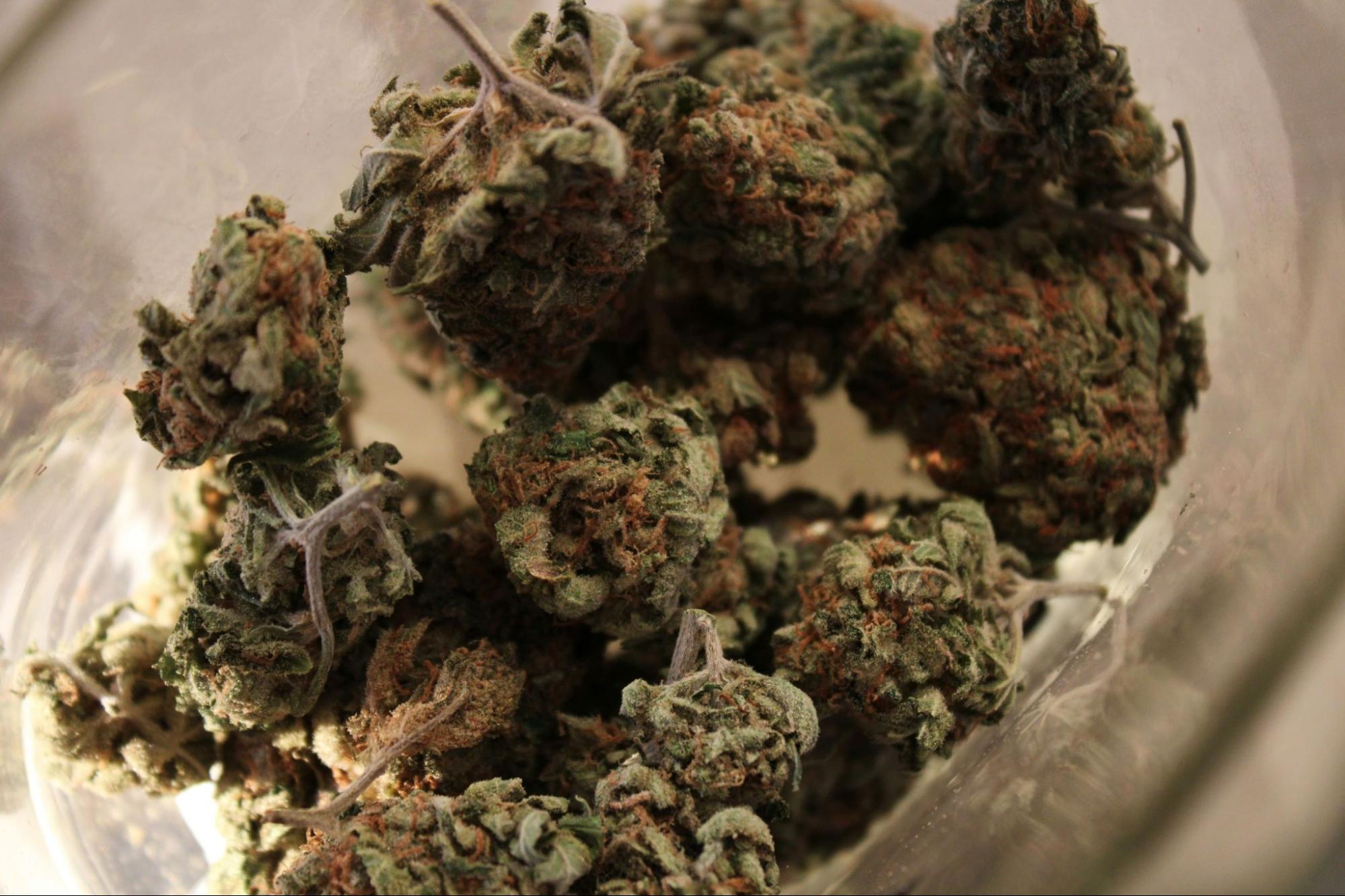 The Best Weed Strains of 2024: The strains you'll want to try next!