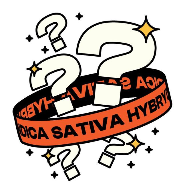 order cannabis mystery box online