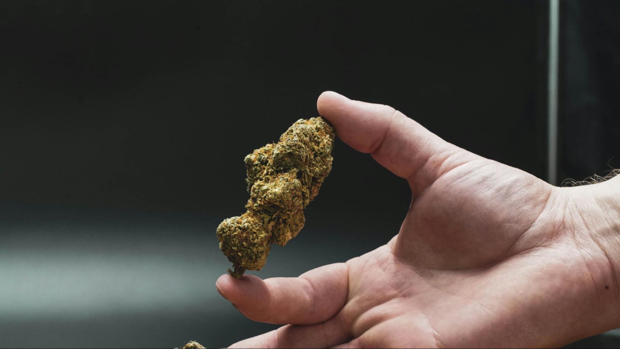 hella jelly weed strain review
